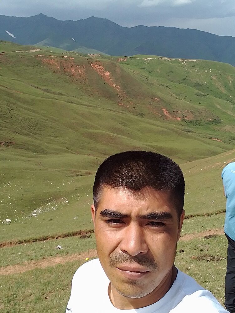  35593342  , 33 ,    