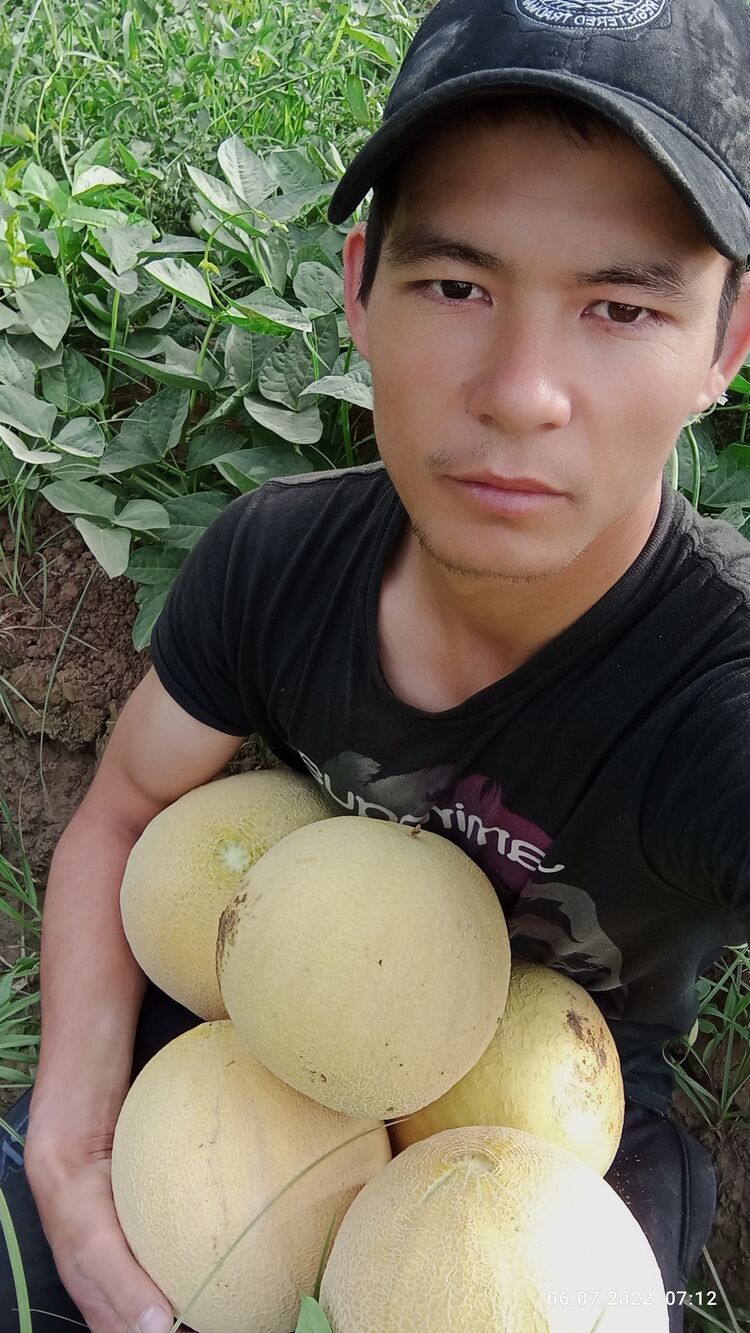 ���������� ��������, ���� ������� ������, 28 ���, ������������ ��� ������, ����� � ���������