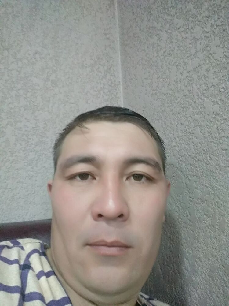  15096302  , 41 ,    -