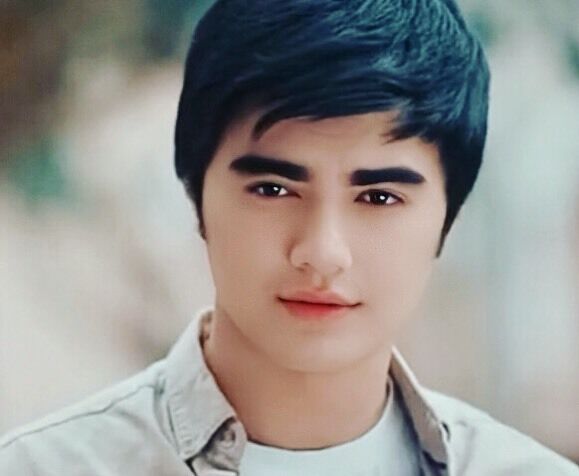 ���������� �����-���������, ���� ����� ��������, 24 ����, ������������ ��� ������, ����� � ���������