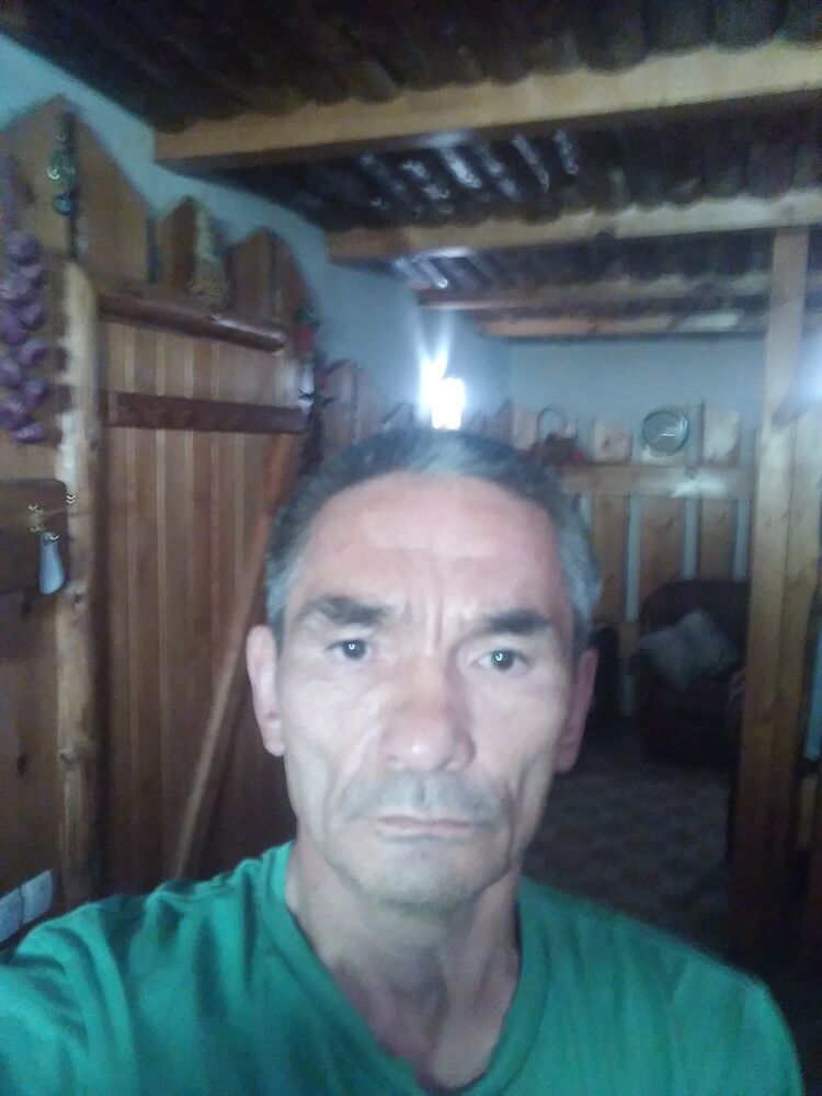 23347622  , 58 ,    