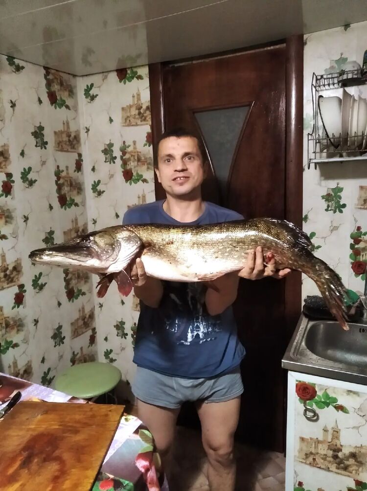 ���� 44778162 ������� ������, 42 ����, ���� ���������� � ������ ���������