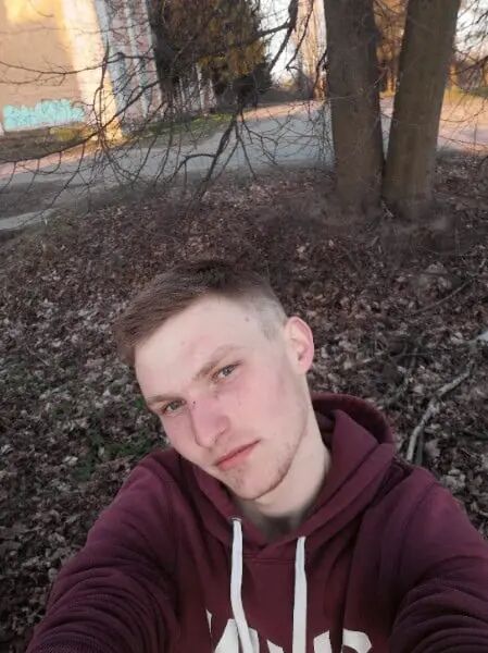  29540612  , 24 ,    