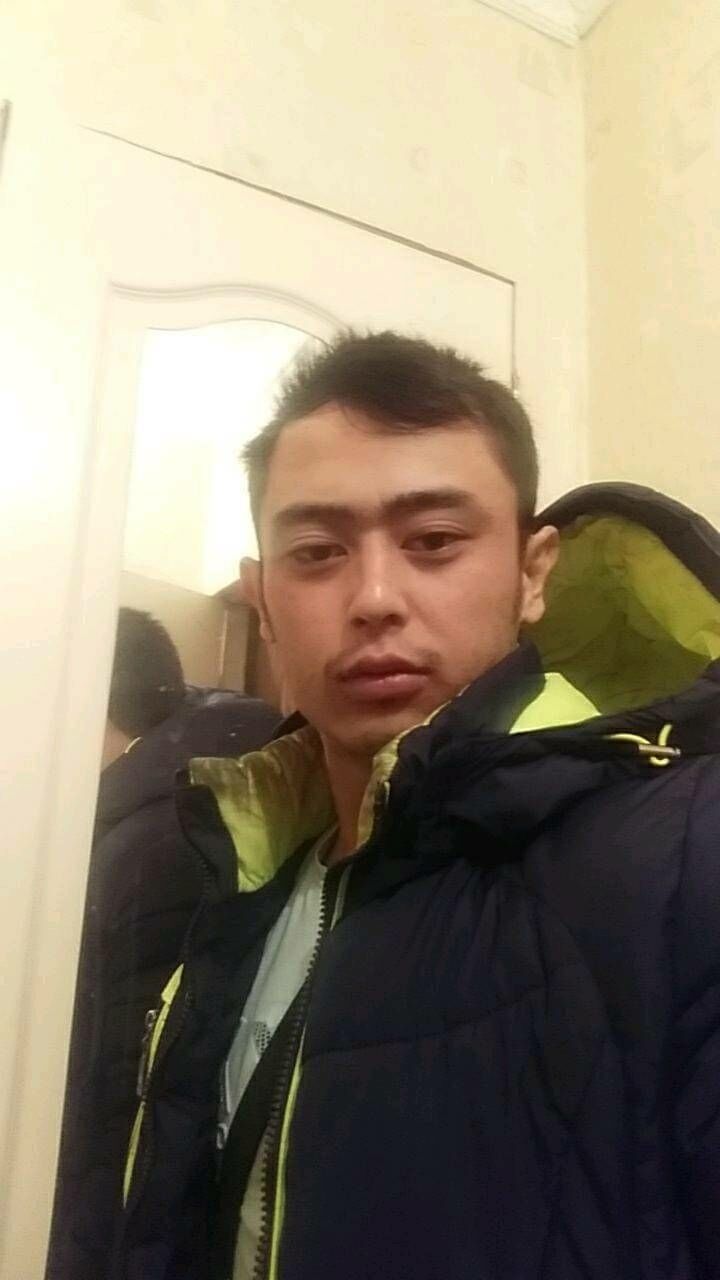  42397112  , 33 ,    