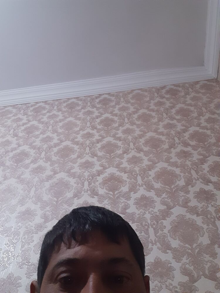 ���� 37743372 ������� Axvan, 41 ���, ���� ���������� � �������