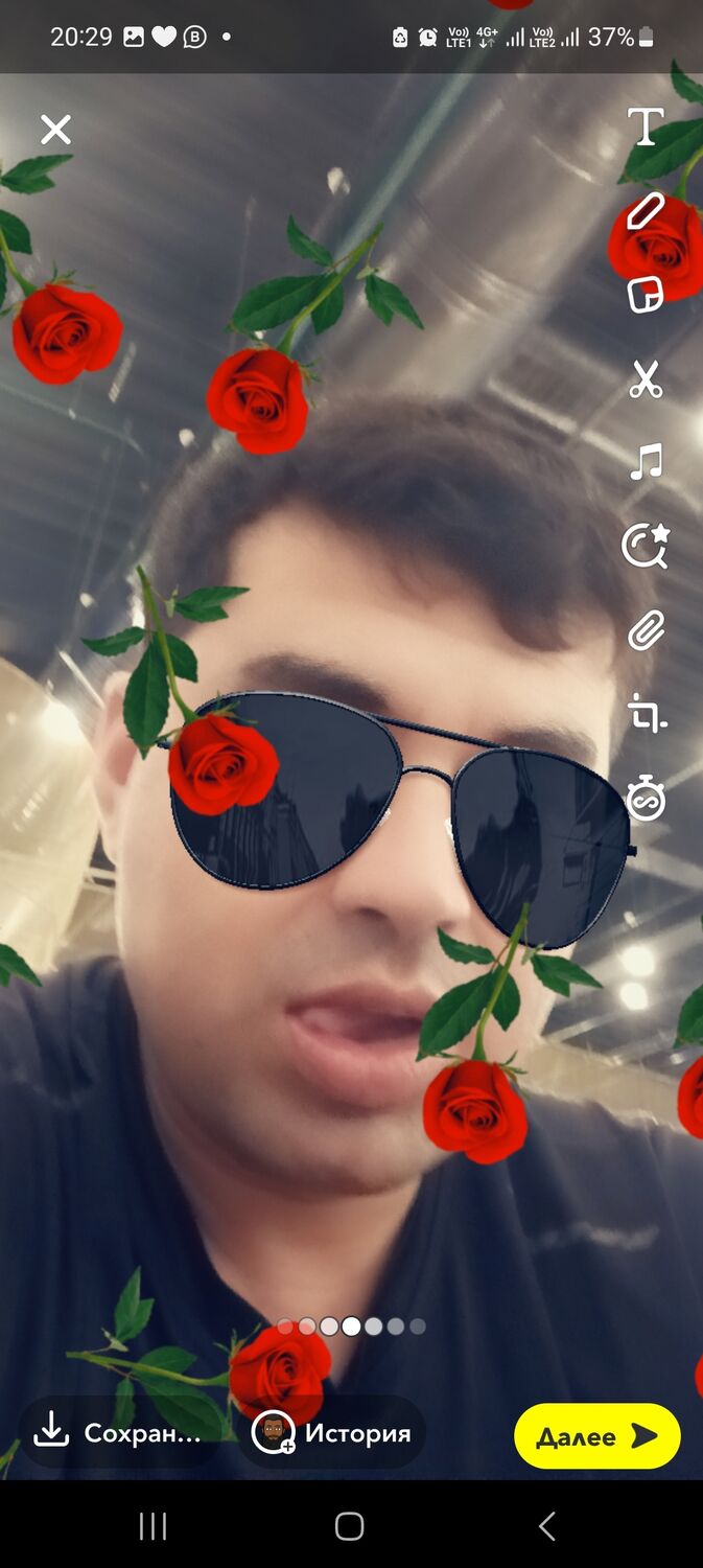  34666162  , 31 ,    