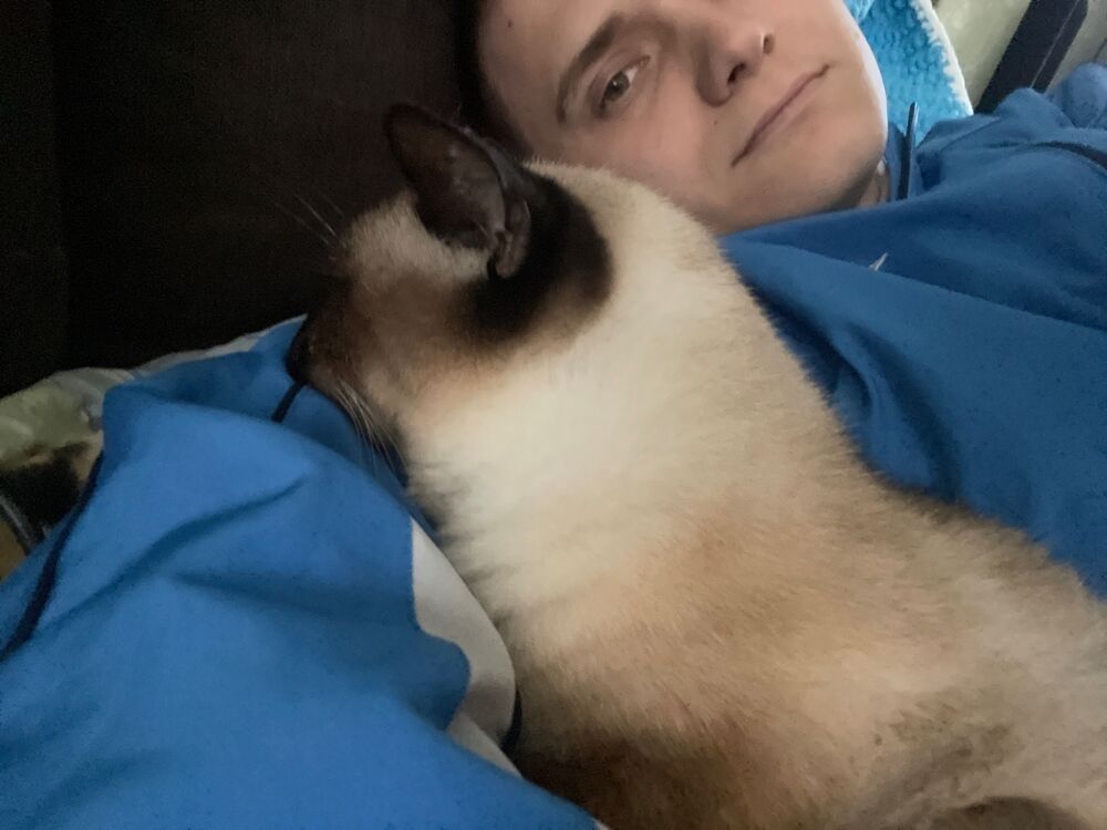 ���� 42462632 ������� ��������, 26 ���, ���� ���������� � �����-����������