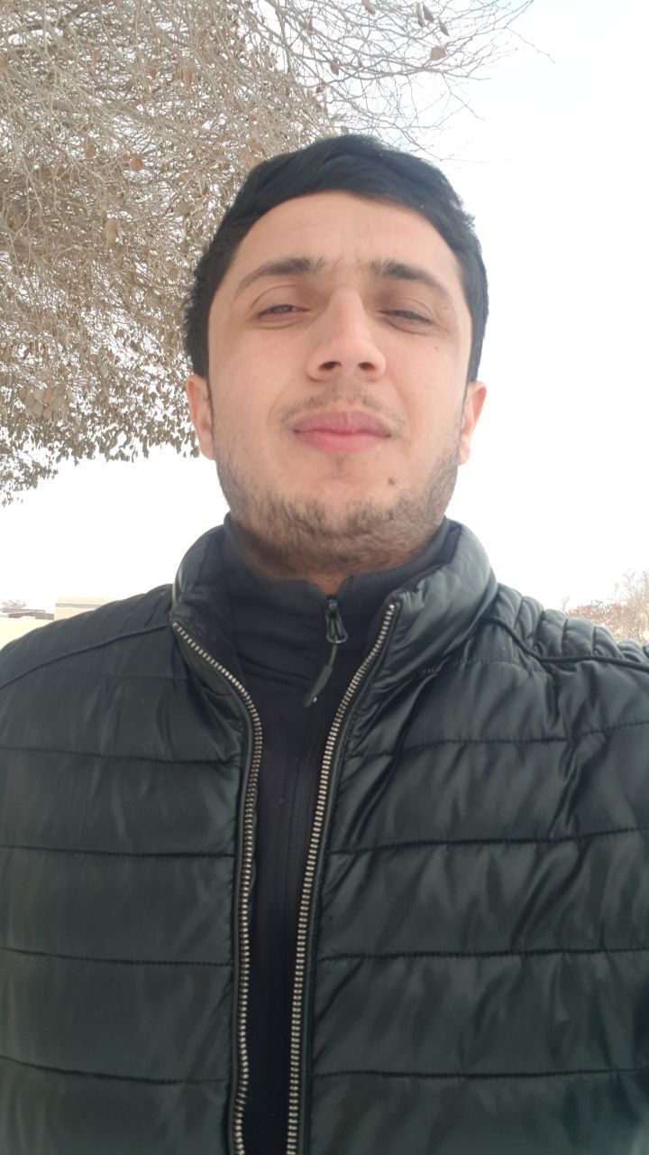  33977882  , 31 ,    