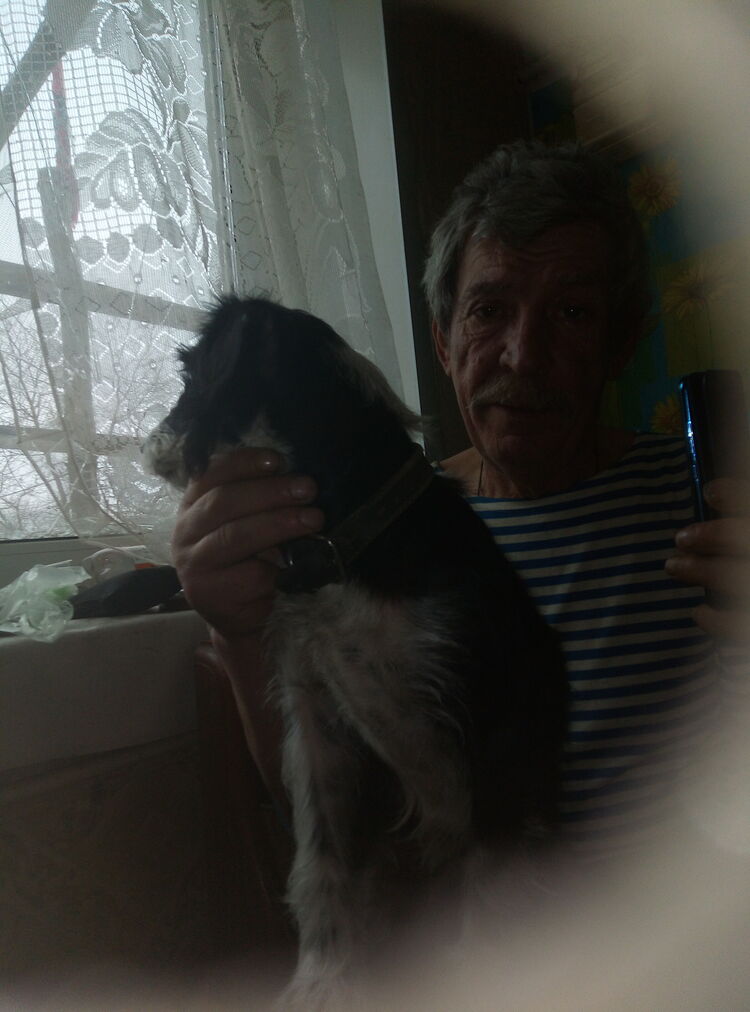 ���������� ������, ���� ������� ���� ������, 65 ���, ������������ ��� c�������� ���������, ���������