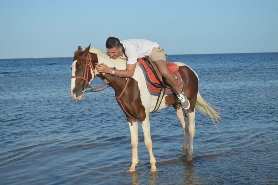 ���������� ������, ���� ������� Adkins, 33 ����, ������������ ��� ������, ����� � ���������