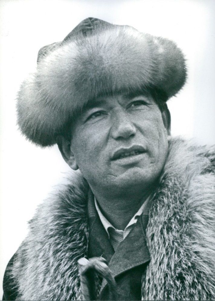 ���� 55175842 ����� ����, 19 ���, ���� ���������� � �������