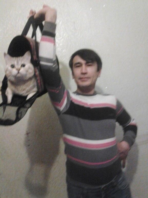 ���������� ������, ���� ������� ������, 53 ����, ������������ ��� ������, ����� � ���������, c�������� ���������