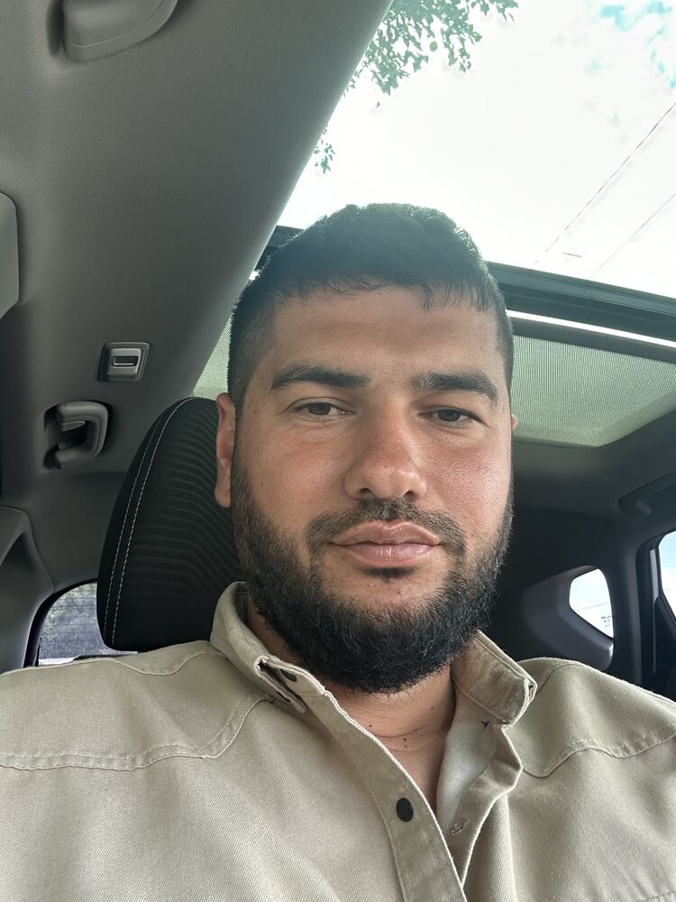 ���� 55295912 ������� ������, 33 ����, ���� ���������� � �����������