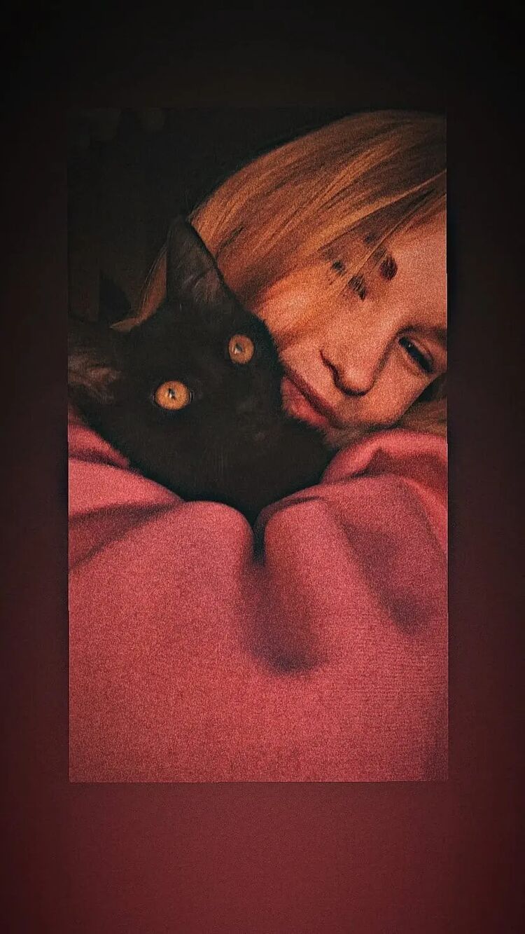 ���� 24916292 ������� ���������, 25 ���, ���� ���������� � ������������