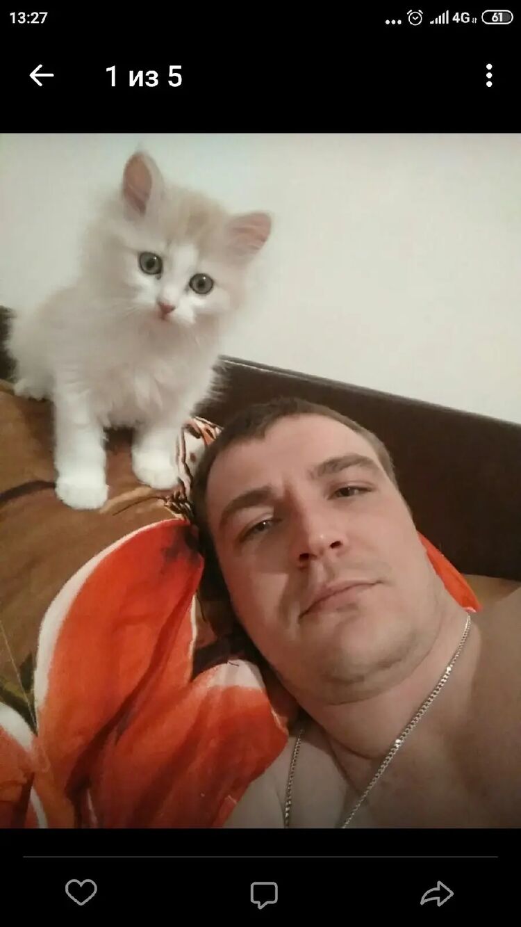 ���������� �����-���������, ���� ������� �������, 34 ����, ������������ ��� ������, ����� � ���������