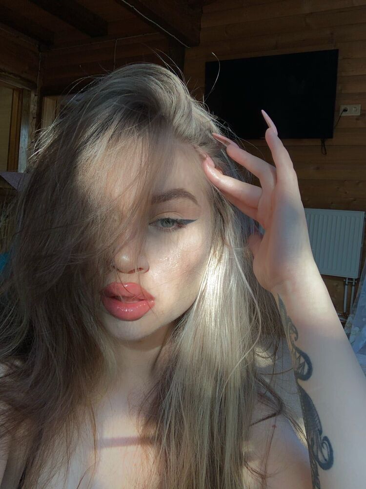  24231512  , 26 ,    -