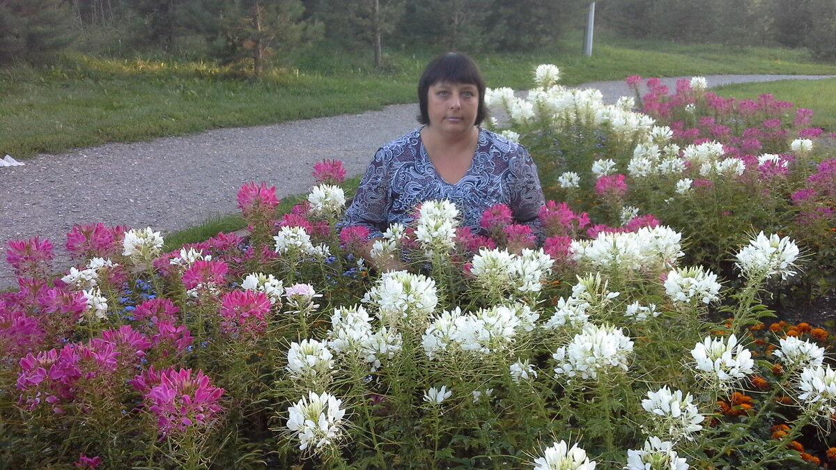 ���������� ��������, ���� ������� ��������, 51 ���, ������������ 