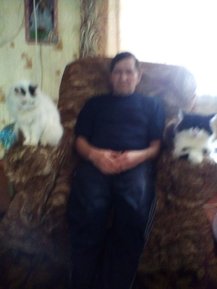  19297672  , 61 ,    