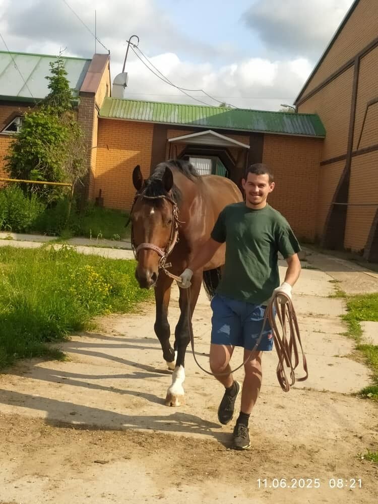 ���� 55090442 ������� ����, 28 ���, ���� ���������� � ������