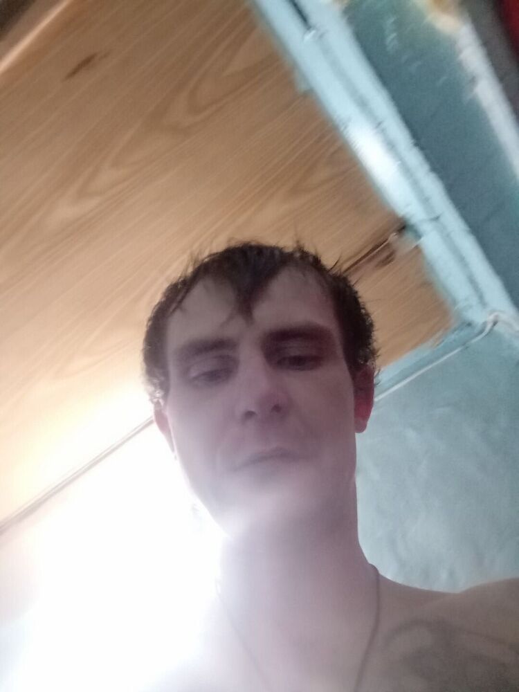 ���� 31131342 ������� �������, 31 ���, ���� ���������� � �������