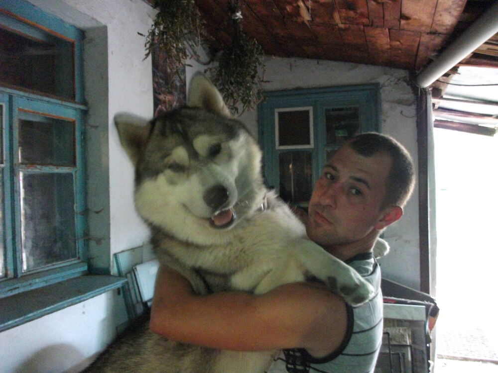 ���� 7308822 ������� ����, 37 ���, ���� ���������� � �����������