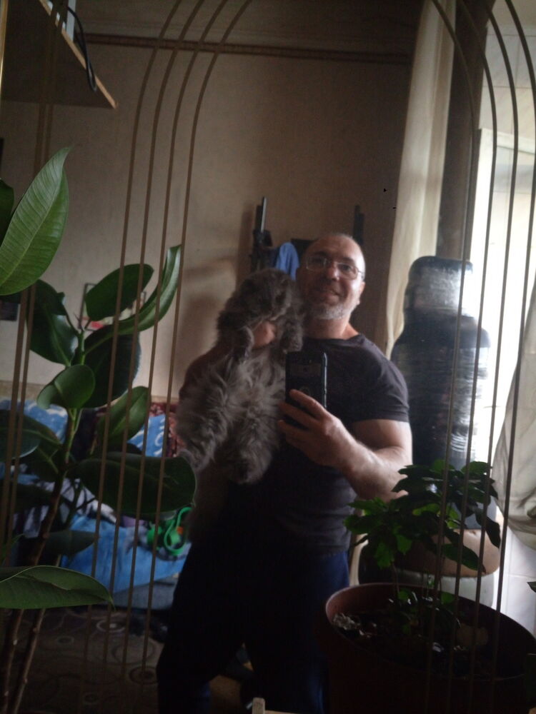  27567562  , 44 ,    -