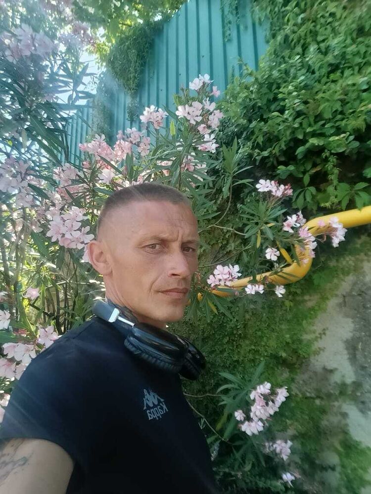  53679142  , 38 ,    