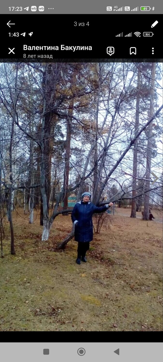 ���������� �������, ���� ������� ���������, 71 ���, ������������ ��� c�������� ���������