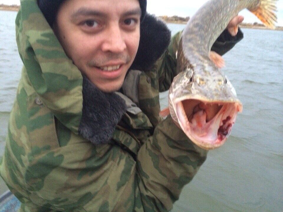 ���������� ���������, ���� ������� ������, 40 ���, ������������ ��� ������, ����� � ���������, c�������� ���������