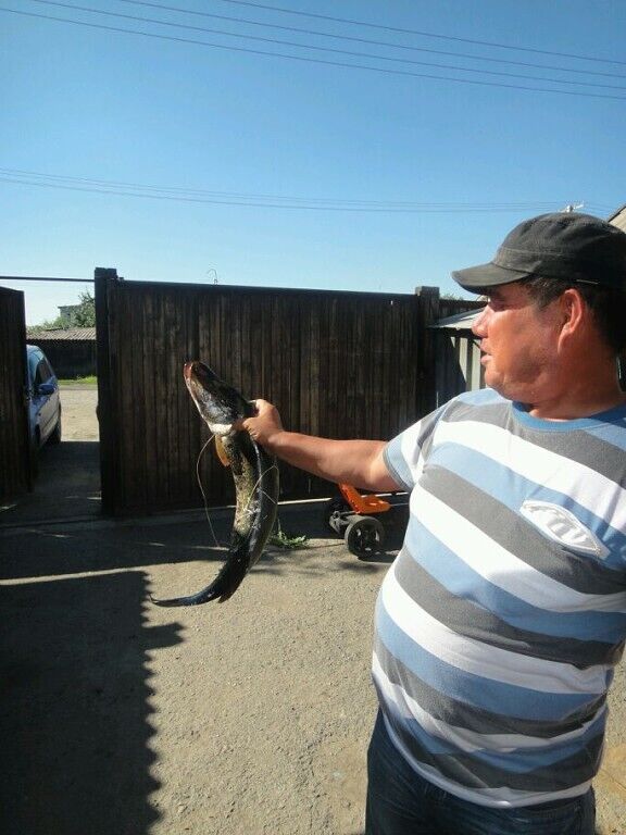  47509652  ABDUMUHTAR, 55 ,    