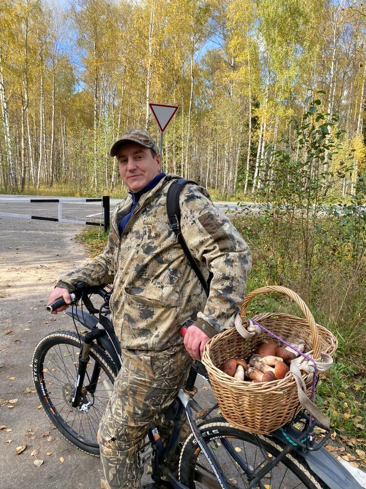 ���������� �����, ���� ������� �������, 41 ���, ������������ ��� c�������� ���������