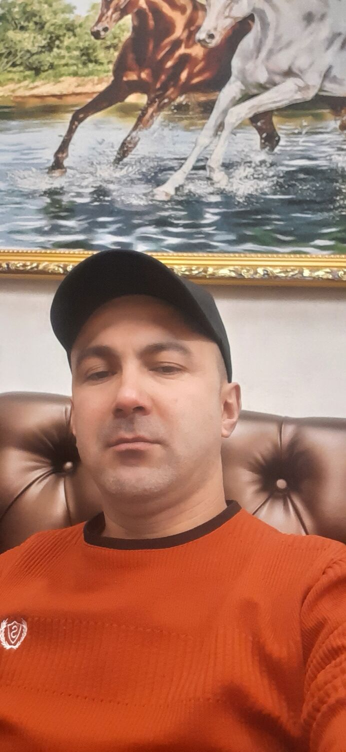  31059692  , 42 ,    