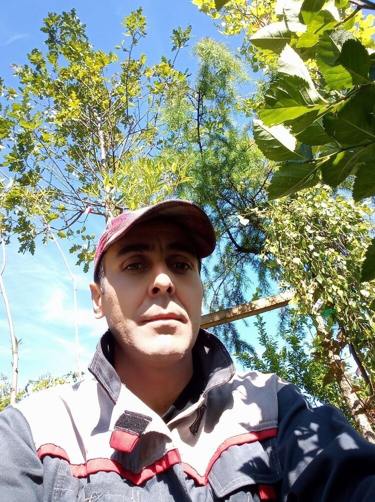 ���� 16803002 ������� Najik, 42 ����, ���� ���������� � ������