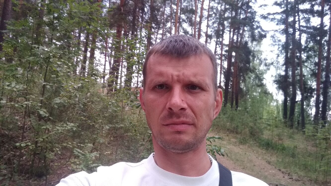  36596812  , 42 ,    
