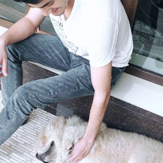 ���� 25088392 ������� Diyor, 31 ���, ���� ���������� � ��������