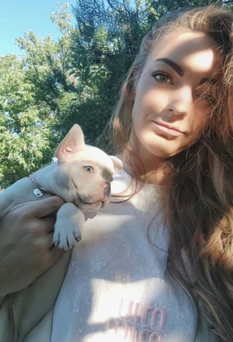 ���������� �����, ���� ������� ������, 38 ���, ������������ ��� c�������� ���������