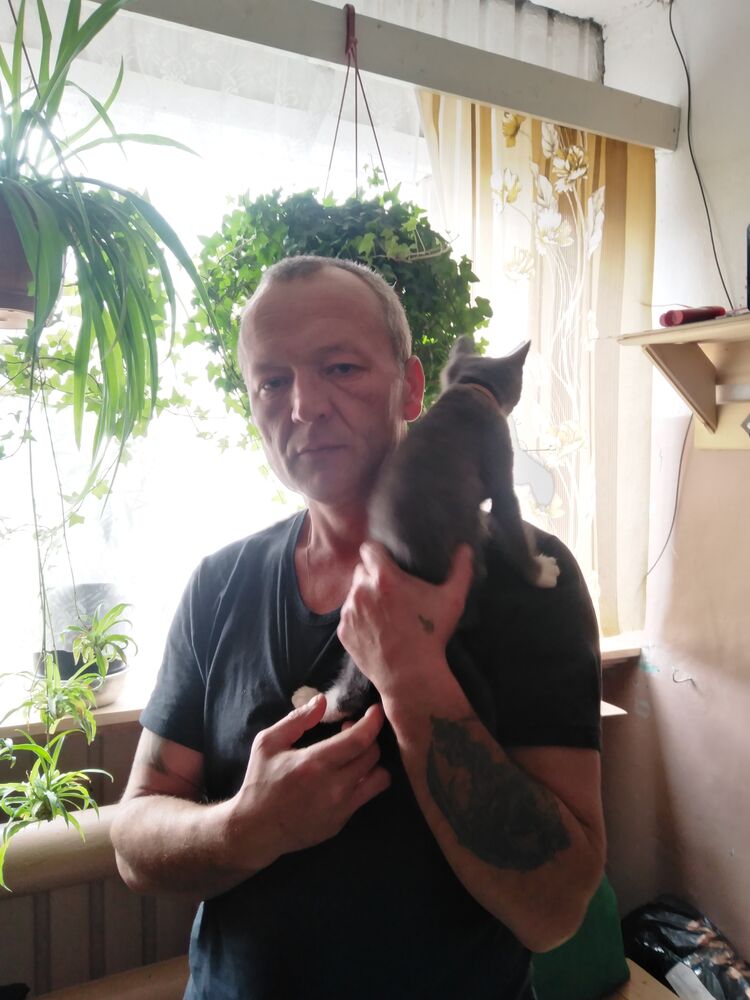 ���� 46577262 ������� �������, 45 ���, ���� ���������� � ������