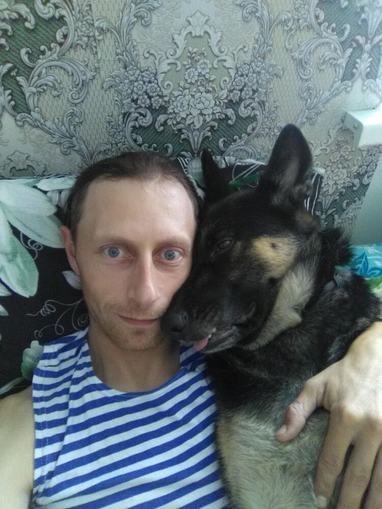 ���� 43947112 ������� ���������, 36 ���, ���� ���������� � ���������