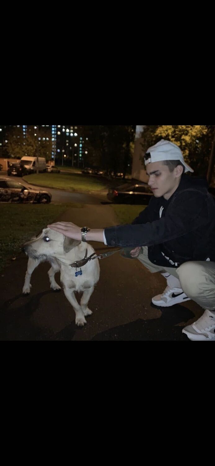  ,   , 21 ,   ,   