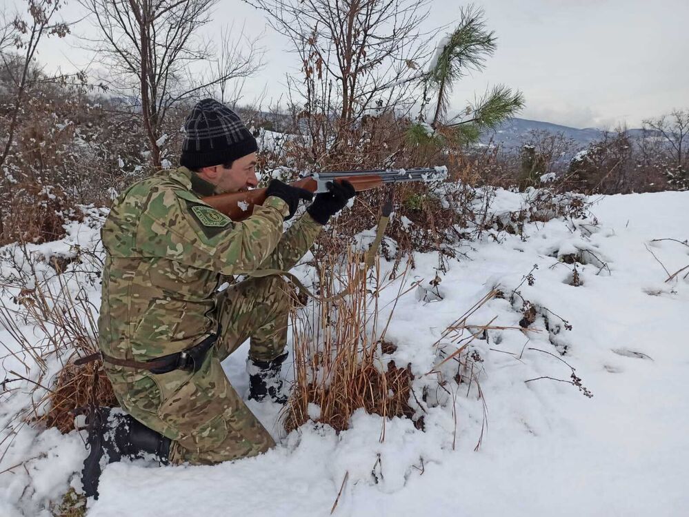 ���� 24929432 ������� ����, 37 ���, ���� ���������� � ������