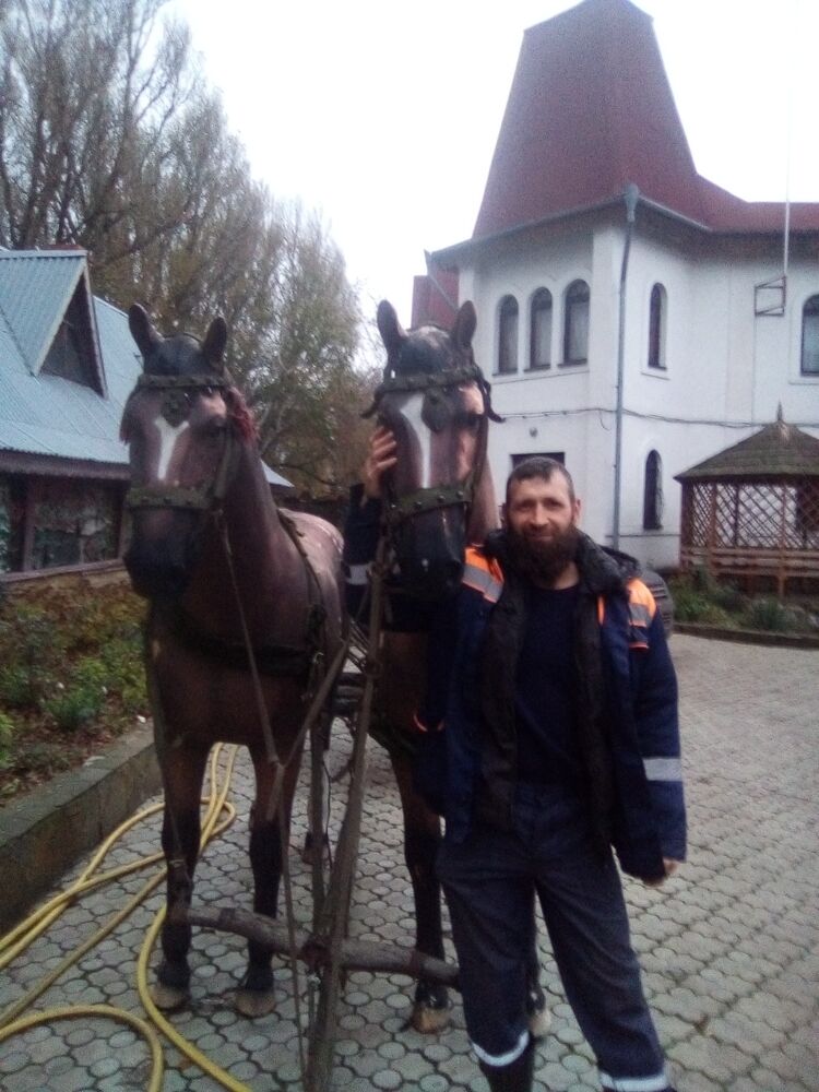 ���������� ������, ���� ������� ������, 41 ���, ������������ ��� ������, ����� � ���������