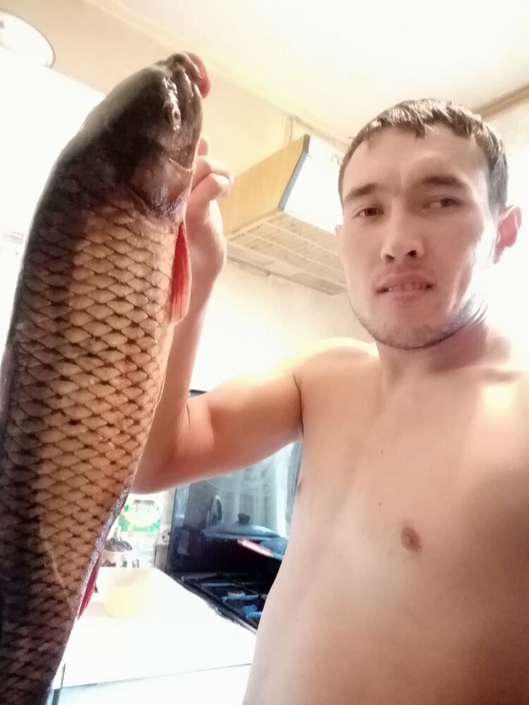 ���� 25630252 ������� OLLOSHKUR, 31 ���, ���� ���������� � ��������