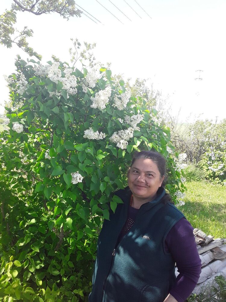  ,   , 54 ,   c , 