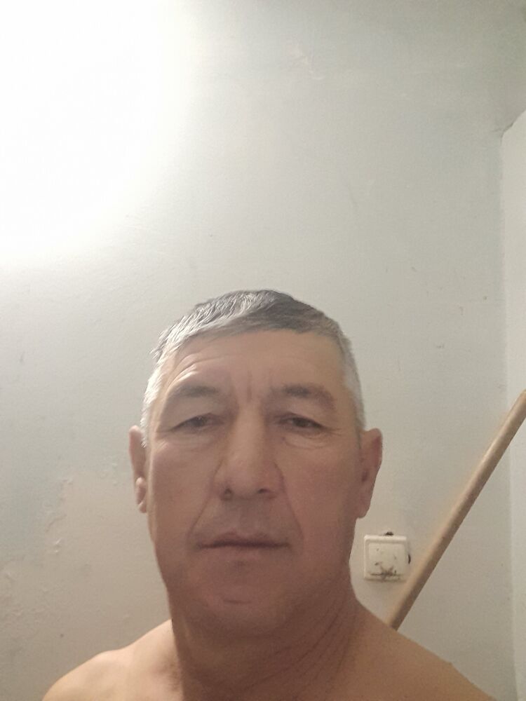  33768022  , 51 ,    