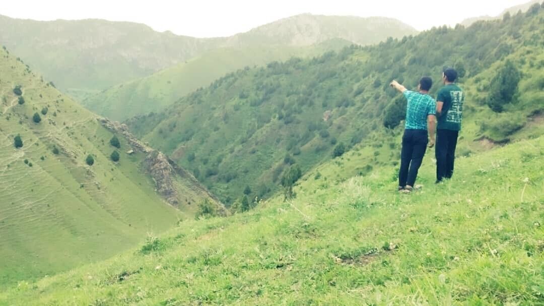 ���� 24349022 ������� ����, 27 ���, ���� ���������� � ������