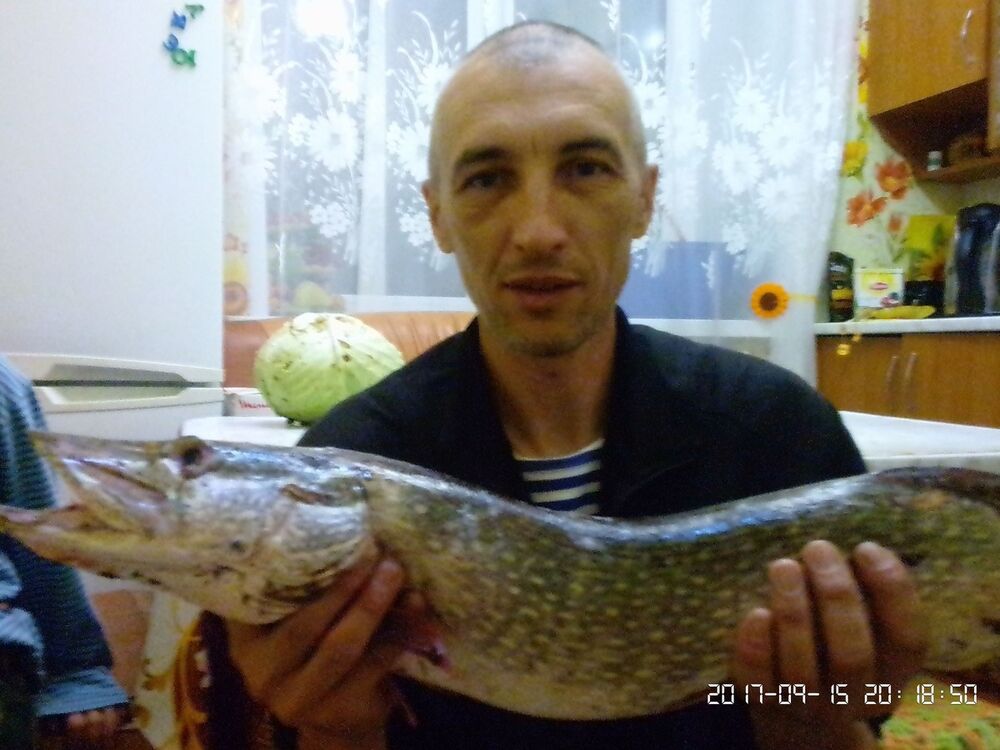  ,   , 49 ,   