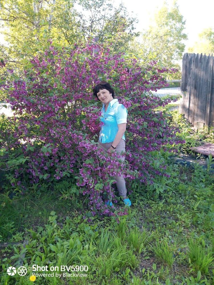 ���� 52433742 ������� ����, 49 ���, ���� ���������� � �������