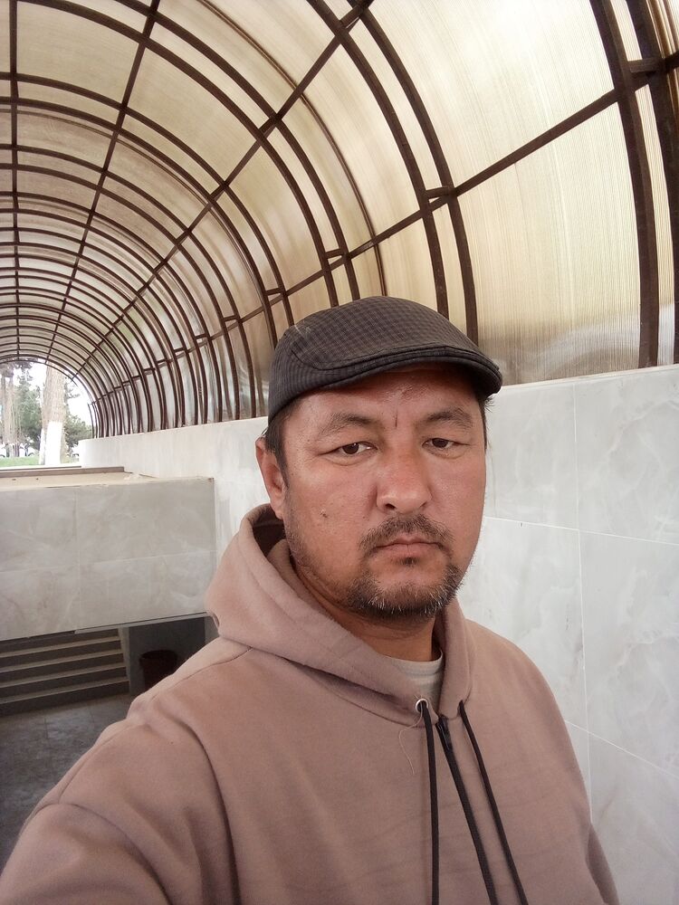 ���� 55933582 ������� Olim, 42 ����, ���� ���������� � �������