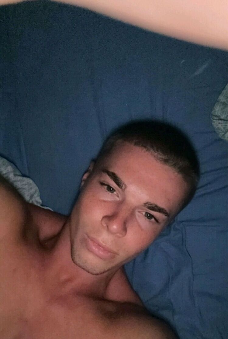  53184582  , 18 ,    