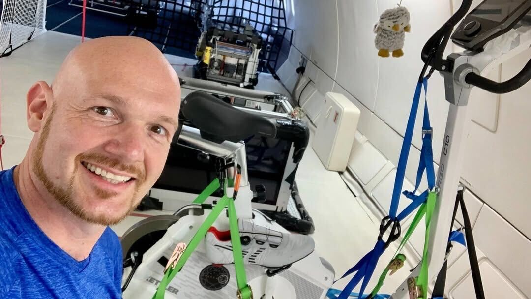  54116572  Alexander, 54 ,    